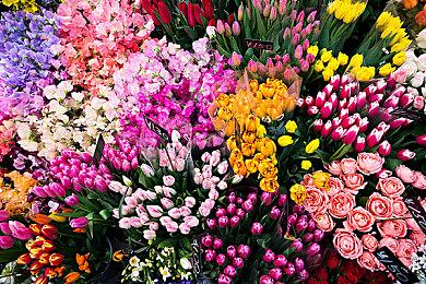 《极品飞车：不羁》12分钟实机演示  12月2日发售