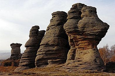 《原始袭变》Steam版预加载开启 需要35GB存储空间